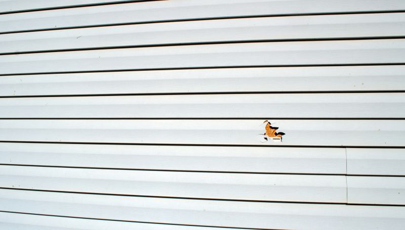 Signs You Need Siding Replacement